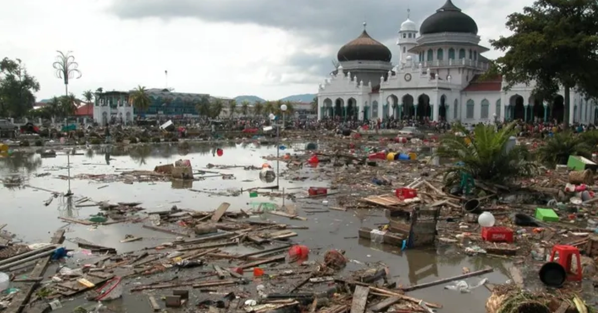 Tsunami: Race Against Time – A Haunting Tribute to Resilience and Loss